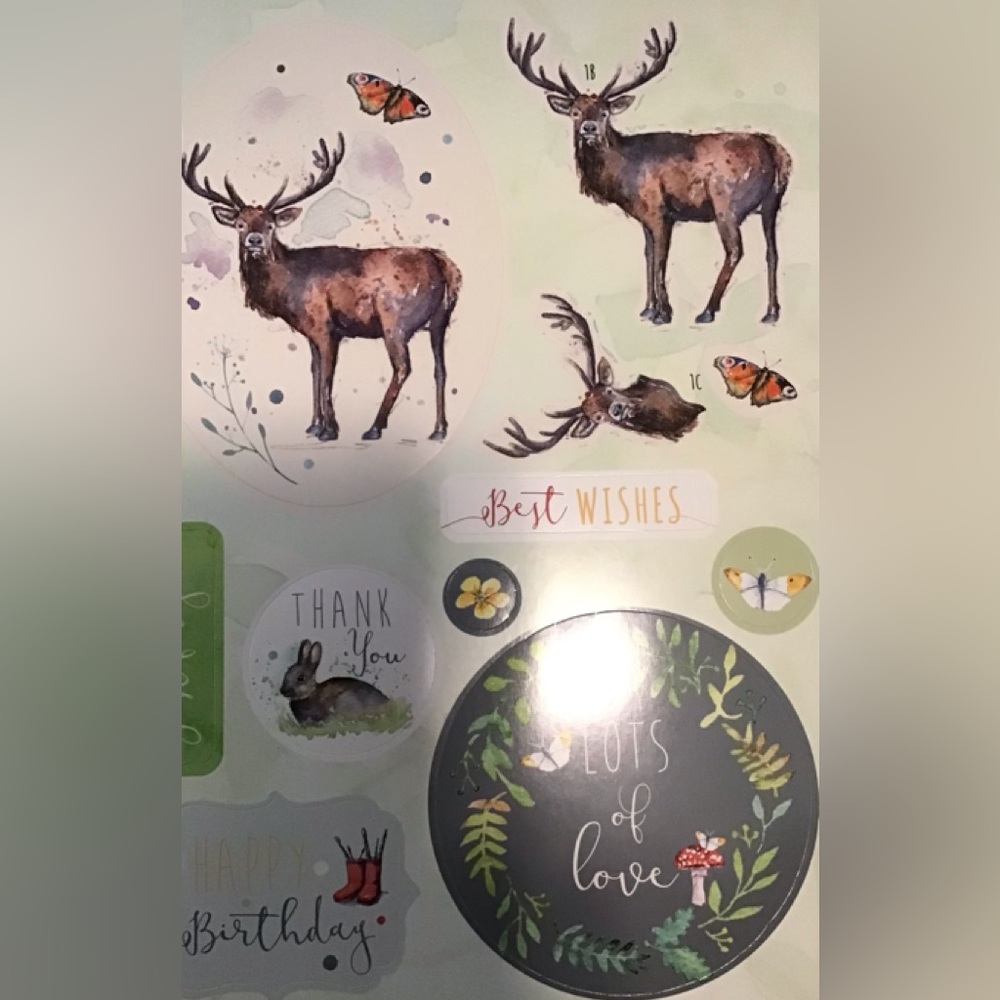 Nature Themed Card and Paper Crafting Kit